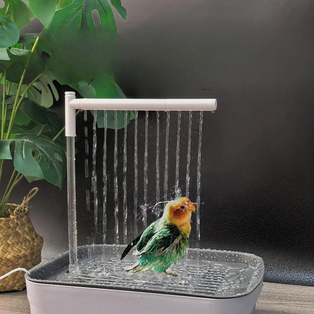 BirdySpa – Automatic Shower for Birds
