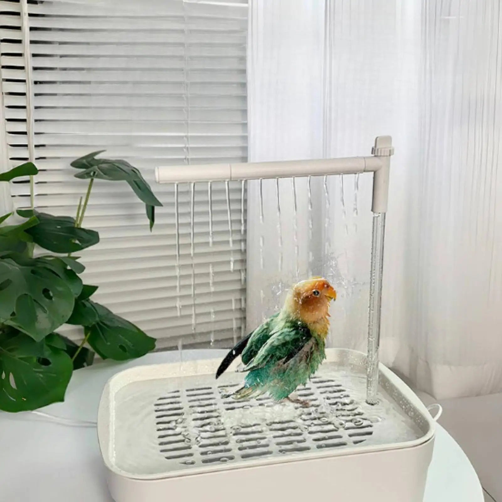 BirdySpa – Automatic Shower for Birds