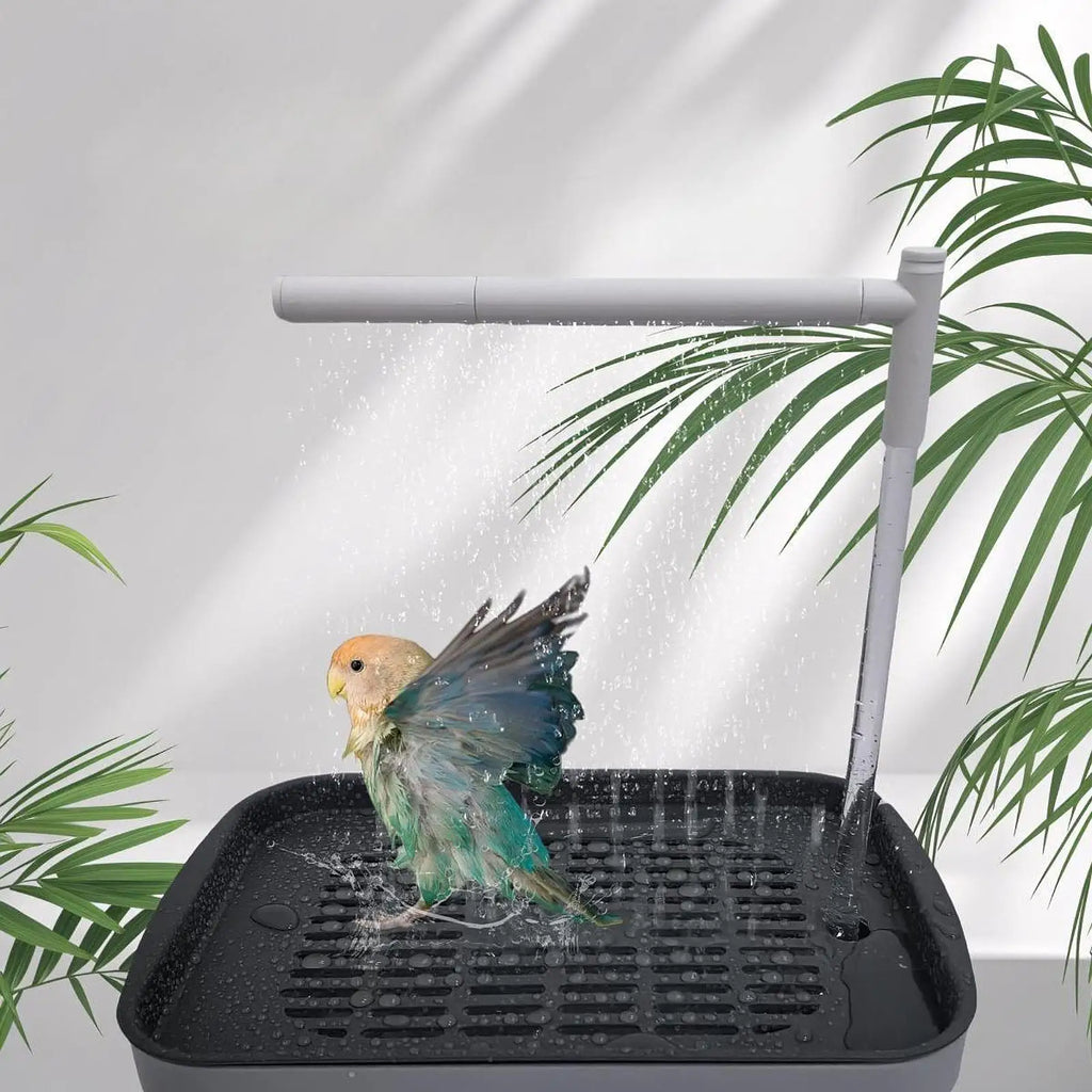 BirdySpa – Automatic Shower for Birds