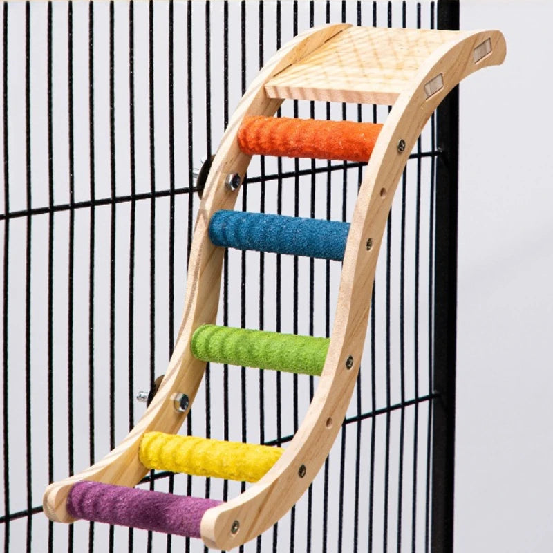 Rainbow Climb Bird Ladder
