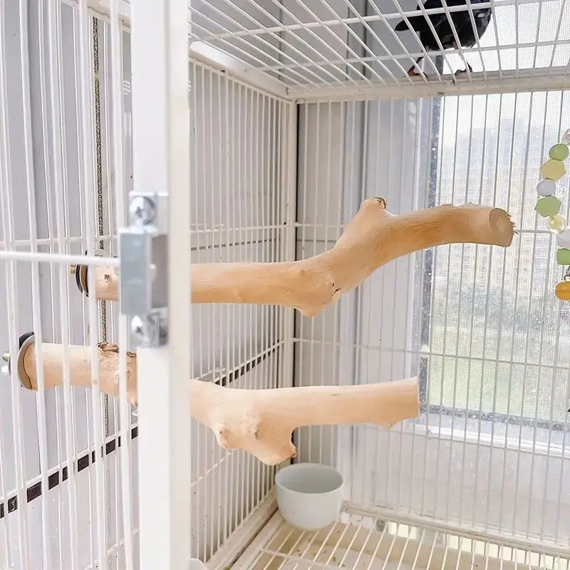 PureBranch – Natural Wood Bird Perch