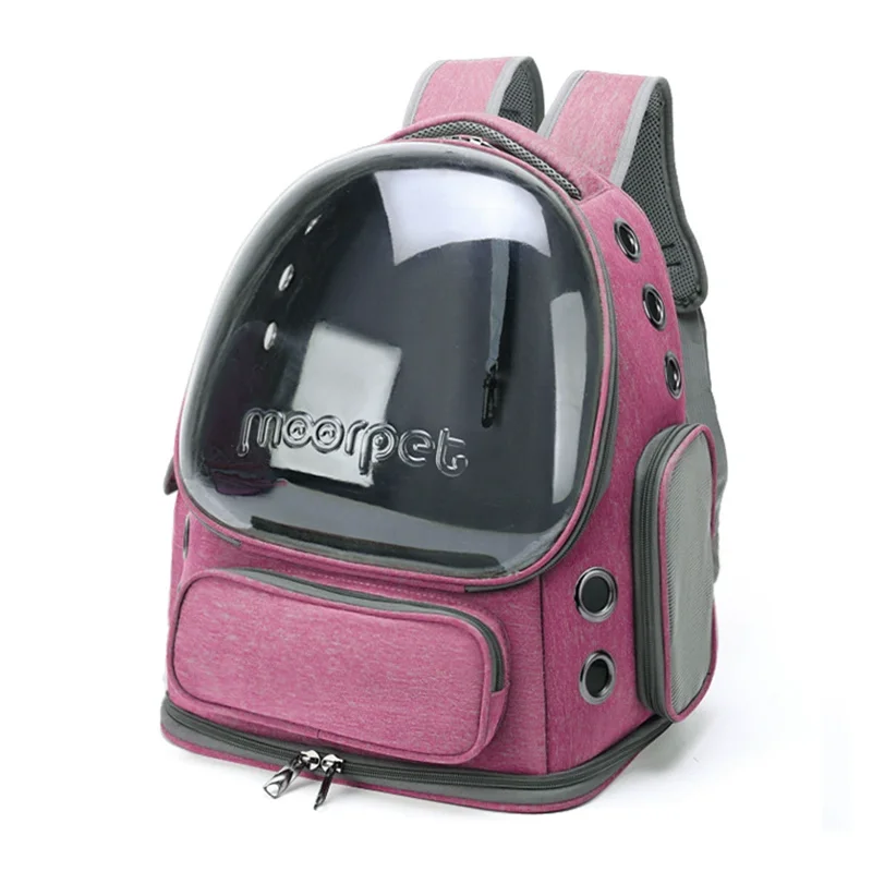 CatVentura Travel Backpack