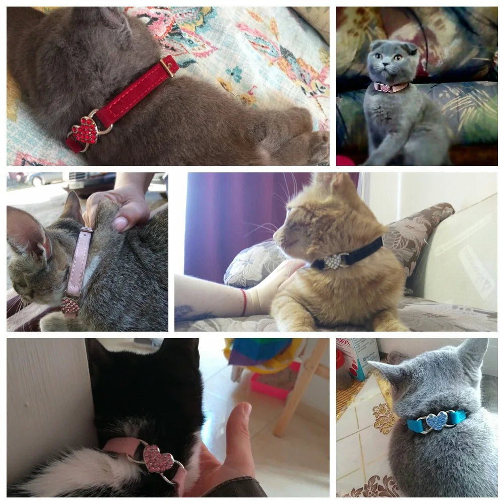 WhiskerHeart Pendant Necklace