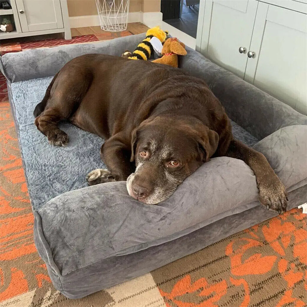 CloudNest Orthopaedic Dog Bed