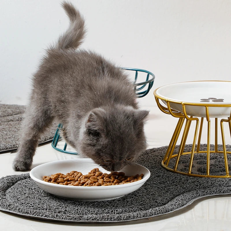 WhiskerLift Elevated Cat Feeding Set
