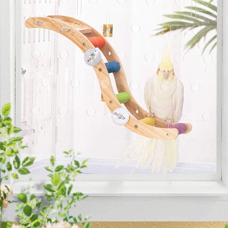 Rainbow Climb Bird Ladder