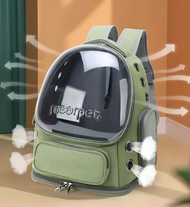 CatVentura Travel Backpack