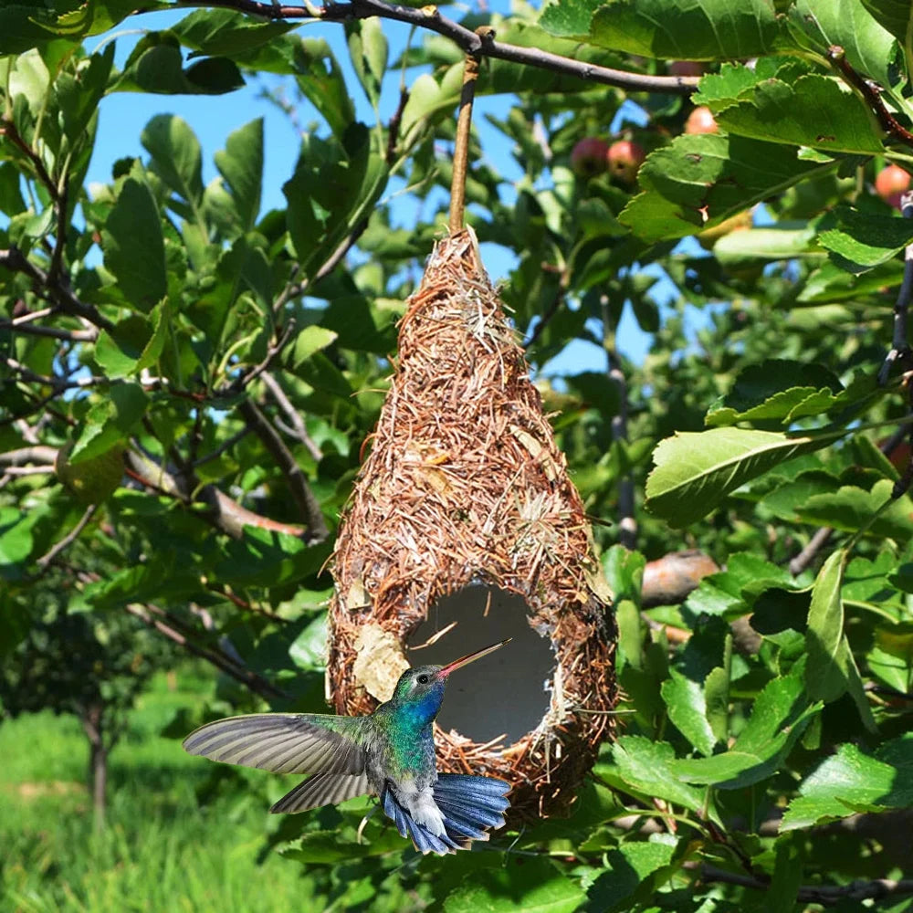 NatureNest – Handmade Hanging Bird House