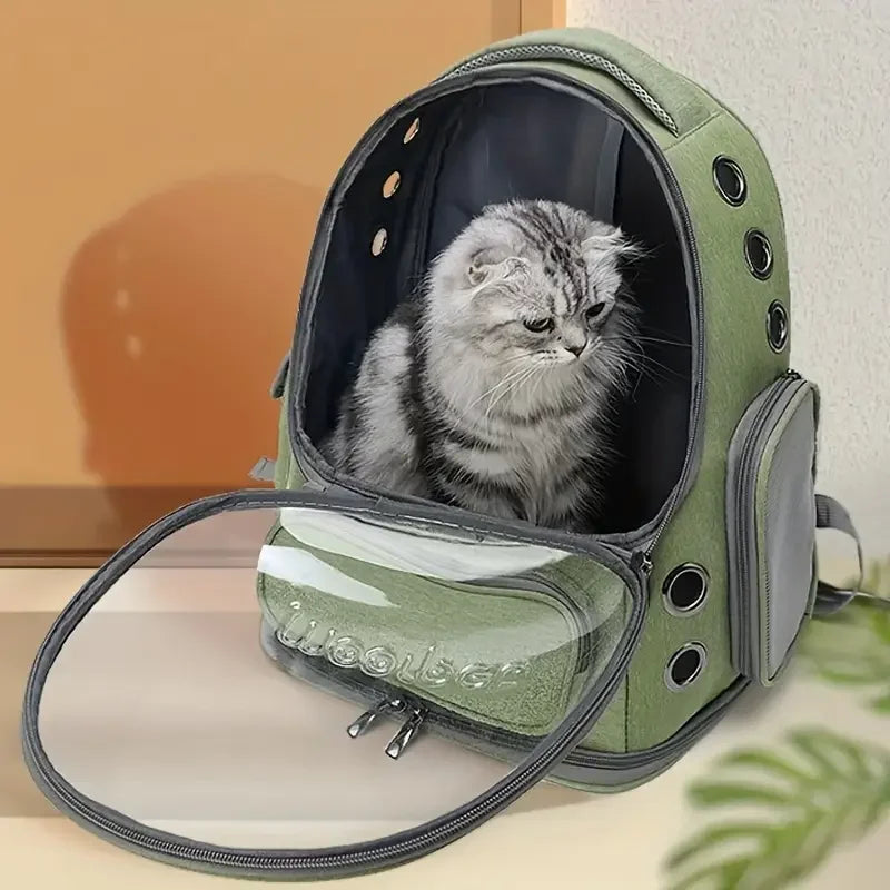 CatVentura Travel Backpack