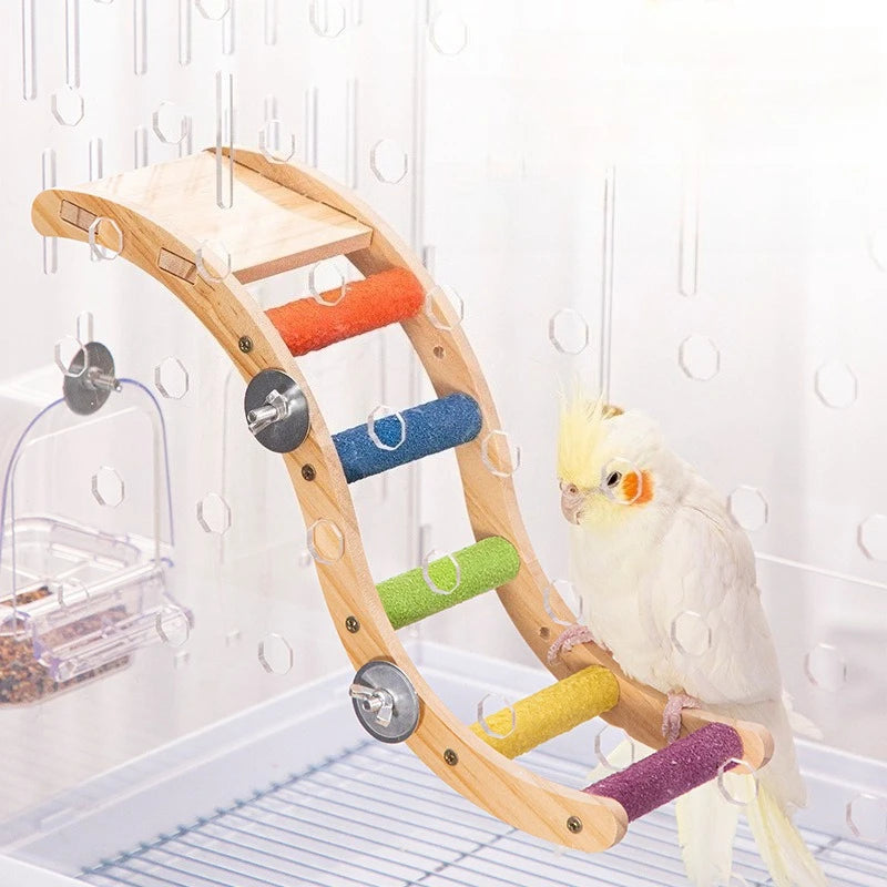 Rainbow Climb Bird Ladder