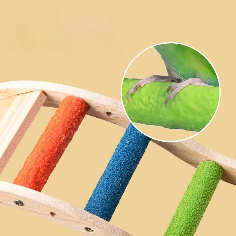 Rainbow Climb Bird Ladder