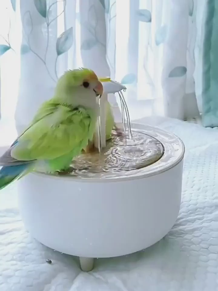 AquaTweet – Automatic Bird Bath Fountain