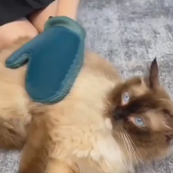 SoftPaws Grooming Glove